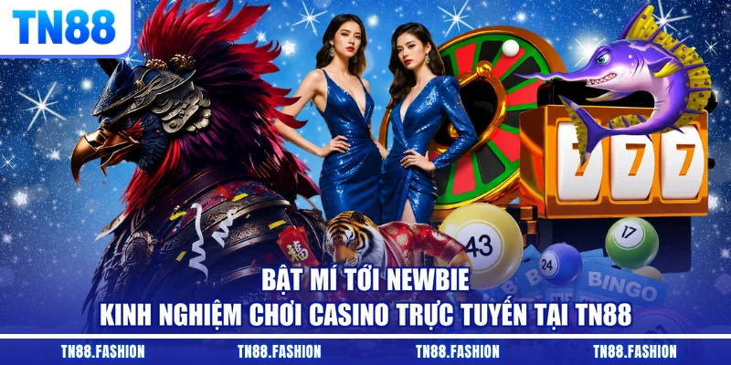 Bật mí tới newbie kinh nghiệm chơi casino trực tuyến tại TN88