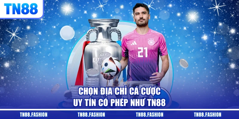 Chọn địa chỉ cá cược uy tín có phép như TN88
