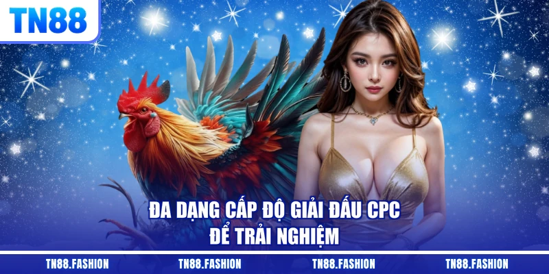 Đa dạng cấp độ giải đấu CPC để trải nghiệm