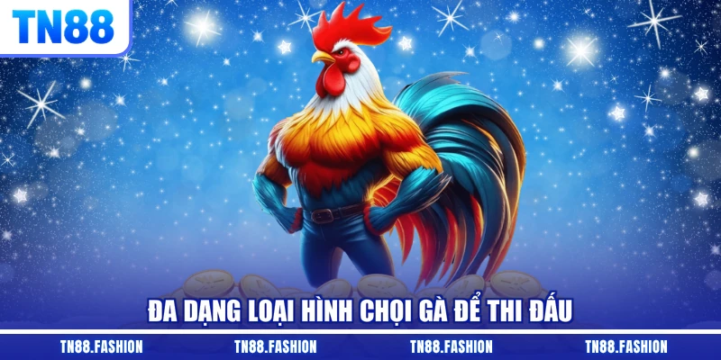 Đa dạng loại hình chọi gà để thi đấu