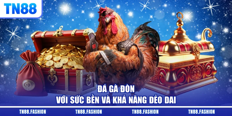 Đá gà đòn với sức bền và khả năng dẻo dai