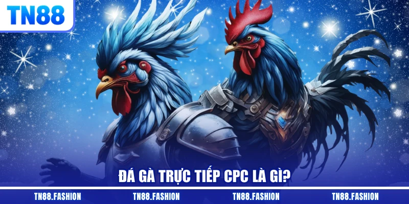 Đá gà trực tiếp CPC là gì?