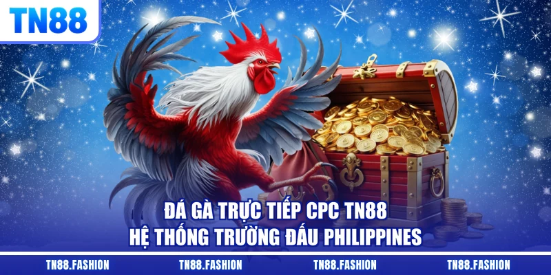 Đá Gà Trực Tiếp CPC TN88 - Hệ Thống Trường Đấu Philippines