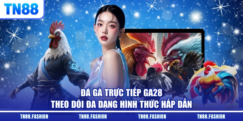 Đá Gà Trực Tiếp GA28 - Theo Dõi Đa Dạng Hình Thức Hấp Dẫn