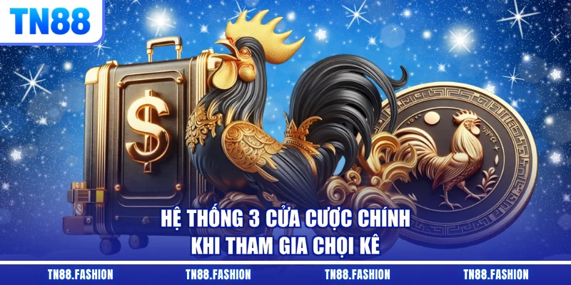 Hệ thống 3 cửa cược chính khi tham gia chọi kê