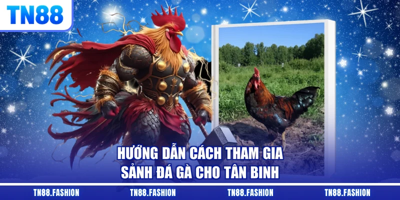 Hướng dẫn cách tham gia sảnh đá gà cho tân binh