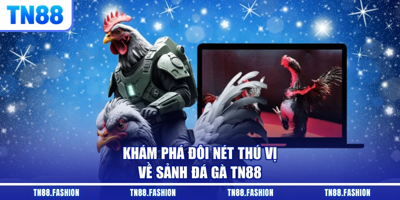 Khám phá đôi nét thú vị về sảnh đá gà TN88