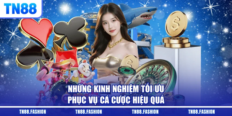 Những kinh nghiệm tối ưu phục vụ cá cược hiệu quả