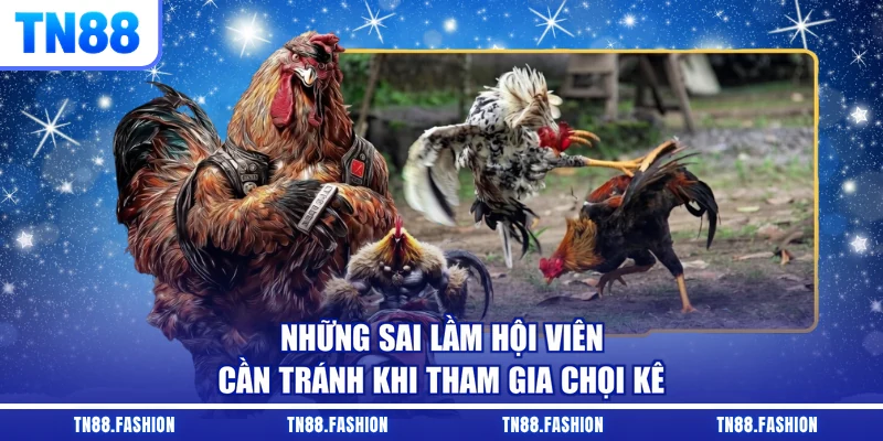 Những sai lầm hội viên cần tránh khi tham gia chọi kê