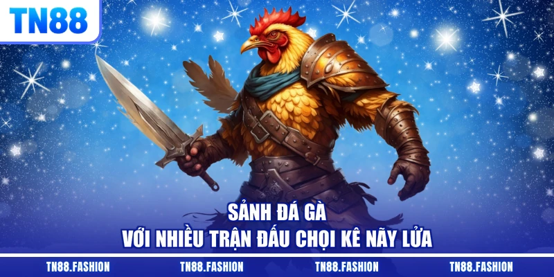 Sảnh đá gà với nhiều trận đấu chọi kê nãy lửa