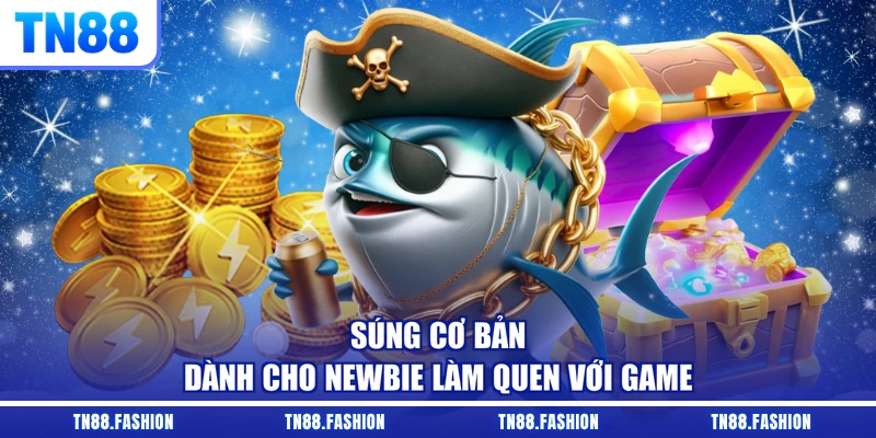 Súng cơ bản dành cho newbie làm quen với game
