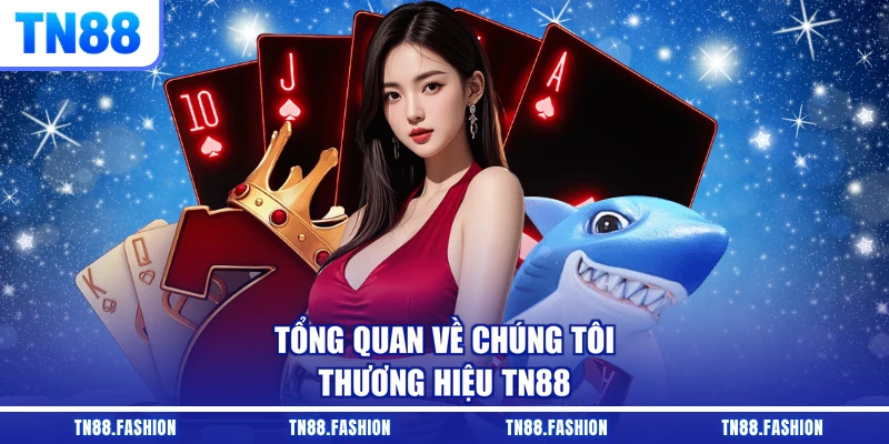 Tổng quan về chúng tôi - Thương hiệu TN88